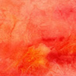 Meet your Posher, Cassidy